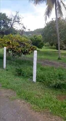 EXCLUSIVA PROPIEDAD EN EL CENTRO DE LA GARITA.  en Garita, Alajuela — ₡ 85 000 000
