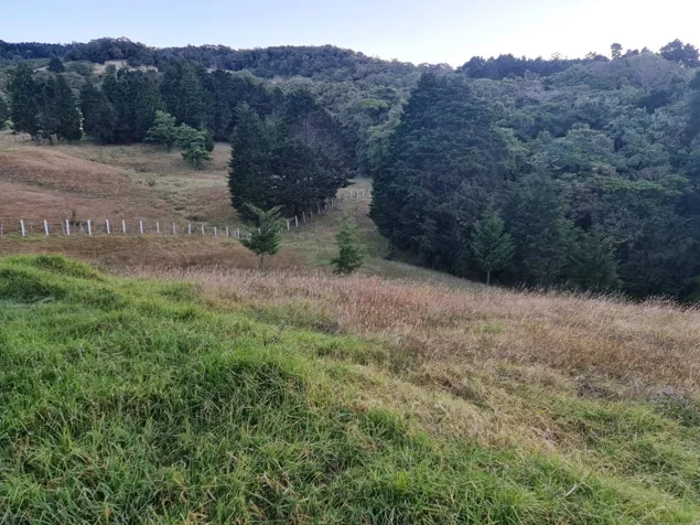 VENTA - Propiedad de 10.000 m² con Río y Vista Panorámica en Sacramento, Barva de Heredia in San José de La Montaña, Barva, Heredia — ₡ 131 250 000 - Photo 2 of 8