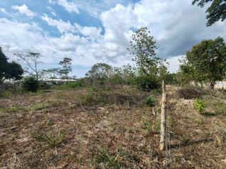 Terreno industrial en Orotina ideal para Centro de almacenamiento en La Ceiba, Orotina, Alajuela — $530,750 - Foto 5 de 13