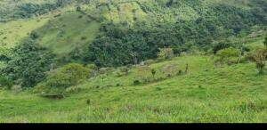 Venta de Extenso Terreno en Turrialba, Cartago / OFC en La Suiza, Turrialba, Cartago — $180,000 - Foto 5 de 8