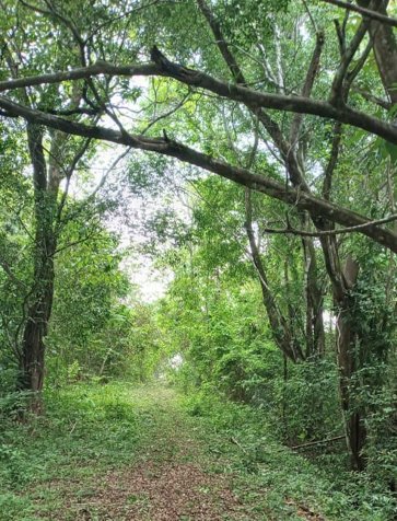 Oportunidad de inversión en Esparza, Puntarenas en Espíritu Santo, Esparza, Puntarenas — $445,000 - Foto 3 de 4