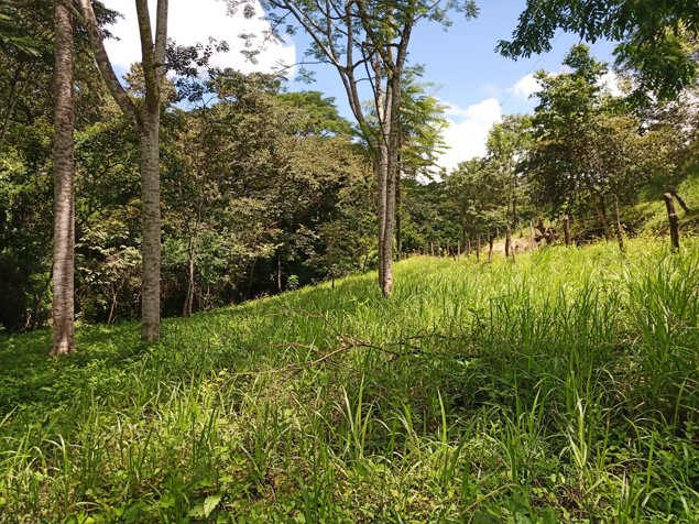 Ultimo lote de 1200m2 con orilla de rio cerca de Nicoya in Nicoya, Guanacaste — ₡ 13 500 000