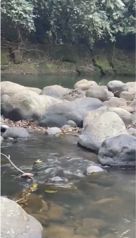 Hermosa propiedad en San Ramón con 5 pozas naturales en Jacó, Garabito, Puntarenas — 125 000 000 ₡ - Foto 4 de 4