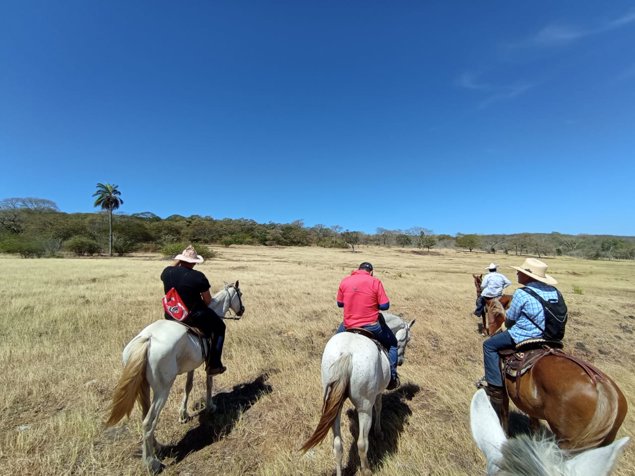 Finca para agroindustria en Bagaces 623 Hectareas en Bagaces, Guanacaste — $3,738,000