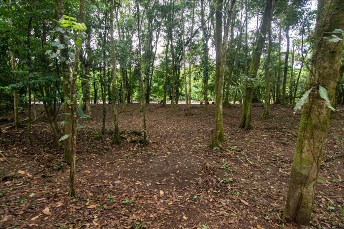 VENTA DE LOTE QUINTA, LIMÓN, GUÁPILES, POCOCÍ, QUINTAS EL CORINTO en Guápiles, Pococí, Limón — $75,000