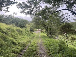 Finca para ganado en el area de Arenal en Arenal, Tilarán, Guanacaste — $1,450,000 - Foto 5 de 13