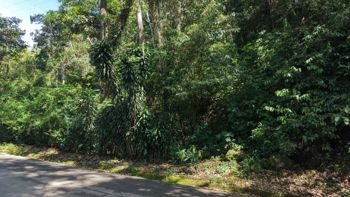 VENTA DE LOTE RESIDENCIAL Y TURISTICO DE 3.892 M2 EN SAN FRANCISCO DE RIVAS, PEREZ ZELEDON in Rivas, Pérez Zeledón, San José — $95,000 - Photo 5 of 7