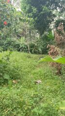 DE OPORTUNIDAD 2 BELLAS Y CÉNTRICAS FINCAS EN LIMÓN.  en Cahuita, Talamanca, Limón — $200,000 - Foto 5 de 10