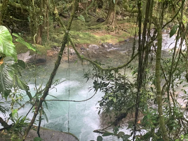 Private Wooden River-front Retreat with Pool in Pérez Zeledón – US $53 en San Isidro De El General, Pérez Zeledón, San José — $650,000 - Foto 3 de 46
