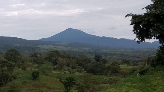 Se vende terreno de 63 hectáreas  en Cote, Guatuso, Alajuela — ₡ 7 000 000