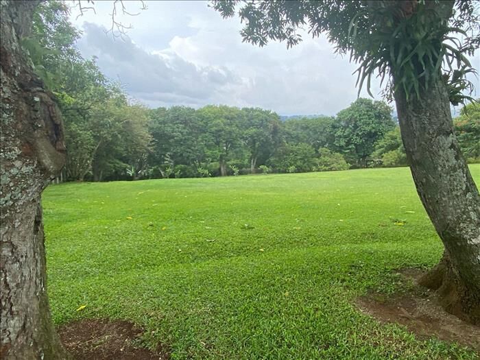 VENTA DE LOTE ALAJUELA, TAMBOR, EL CACAO en Alajuela — $975,000