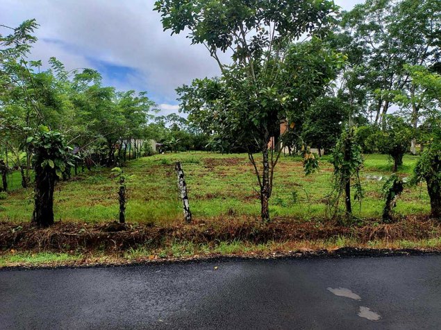 🌿 LOTE DE 2.209 m² EN VENTA | MUELLE DE LA PALMERA, SAN CARLOS en La Palmera, San Carlos, Alajuela — ₡ 40 000 000 - Foto 3 de 13