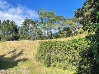 Unique lot with spectacular views in Santa Ana - Photo 3 of 3