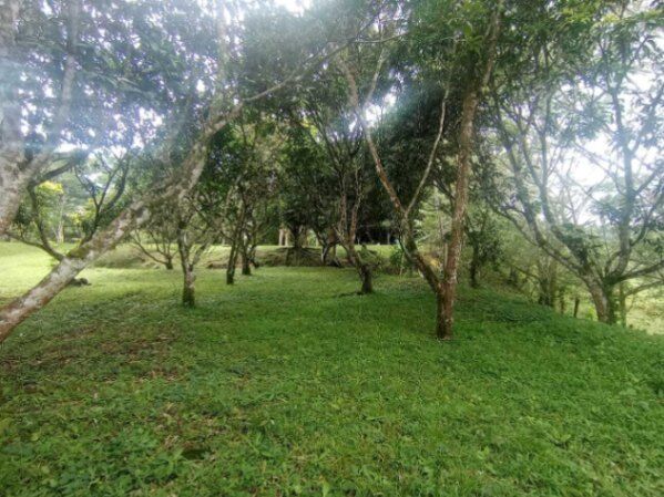 Venta de Lote en Mora, San José. RAH 26-420 in Jaris, Mora, San José — ₡ 120 000 000