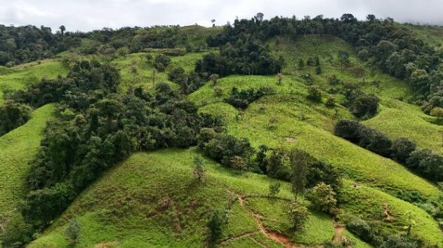 Finca de 56 hectares en San Marcos de Baru, Perez Zeledon. en Barú, Pérez Zeledón, San José — $699,999