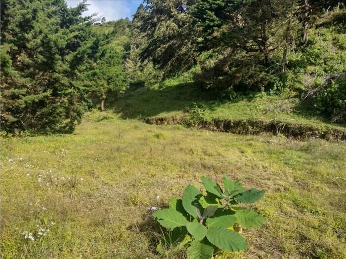 VENTA DE LOTE, SAN JOSE, LEON CORTES, CEDRAL en Desamparados, San José — ₡ 60 000 000