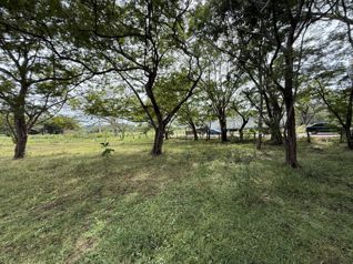 Terrenos Comerciales en Venta – Villa Real, Guanacaste en Tamarindo, Santa Cruz, Guanacaste — $206,000 - Foto 4 de 10