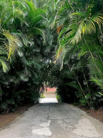 An Exclusive Sanctuary Where Legacy Meets Nature en San Rafael, Escazú, San José — $6,000,000 - Foto 3 de 69