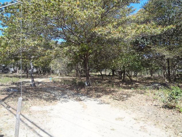 Finca 36 Ha cerca Aeropuerto Daniel Oduber Liberia en Liberia, Guanacaste — $5,400,000 - Foto 3 de 3