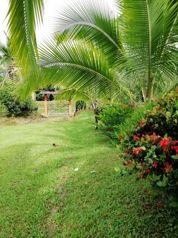 Venta De Finca Ganadera En Limón Guácimo Pocora Sur  La Florida in Pocora, Guácimo, Limón — 363 000 000 ₡ - Photo 5 of 9