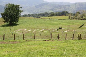 BELLA FINCA LECHERA EN ARENAL in Arenal, Tilarán, Guanacaste — $9,600,000 - Photo 5 of 14