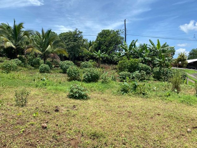 Venta de quinta en Peje Viejo, Florencia. San Carlos. en Florencia, San Carlos, Alajuela — ₡ 90 000 000 - Foto 2 de 13