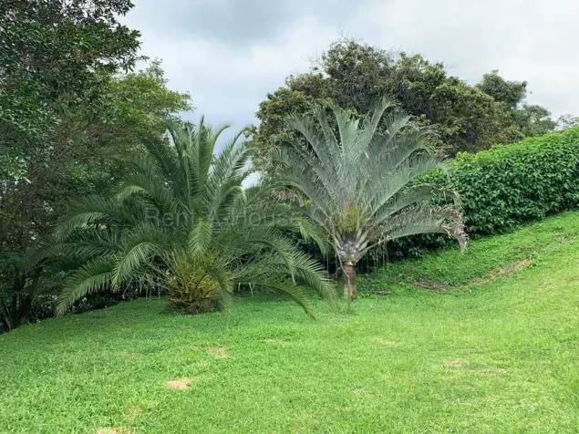 Oportunidad en Senderos del Río, Grecia | Lote de 1.449 m² a precio especial en San Roque, Grecia, Alajuela — $118,900 - Foto 3 de 9