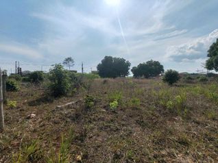 Terreno industrial en Orotina ideal para Centro de almacenamiento en La Ceiba, Orotina, Alajuela — $530,750 - Foto 4 de 13