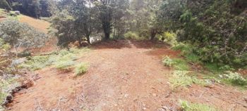 Venta de Lote en Macho Gaff, San Isidro, El Guarco en San Isidro, El Guarco, Cartago — 50 000 000 ₡ - Foto 3 de 18