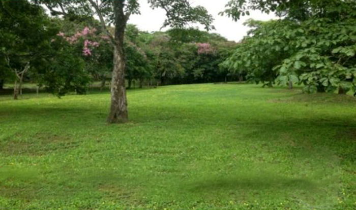 VENTA DE LOTE PARA DESARROLLO RESIDENCIAL, ALAJUELA, EL COYOL en Alajuela — ₡ 175 000 000 - Foto 3 de 3