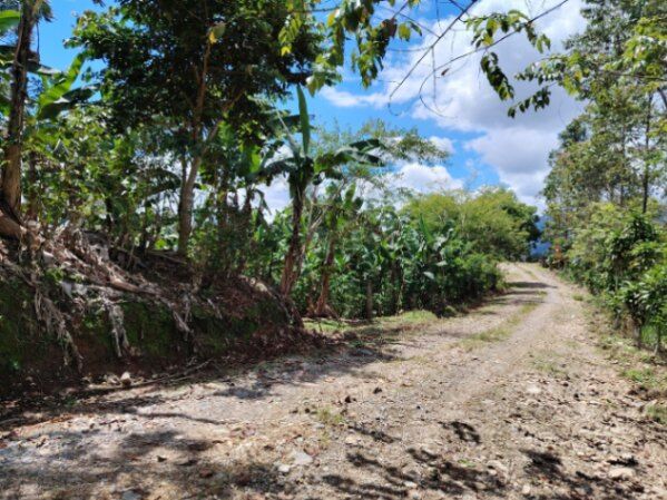 TERRENO EN VENTA EN LA FILA, RIVAS – FINCA DE CAFÉ Y BANANO CERCA DEL CHIRRIPÓ en Rivas, Pérez Zeledón, San José — $78,000