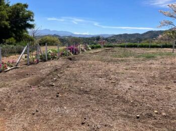 SE VENDEN 3 BELLOS LOTES EN ATENAS.  in San José, Atenas, Alajuela — 75 000 ₡ - Photo 4 of 6