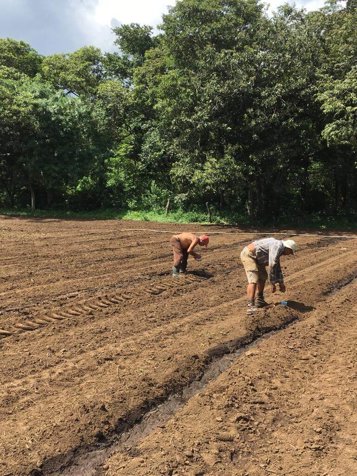 Propiedad Rincón de la Vieja en Curubandé, Liberia, Guanacaste — $1,200,000 - Foto 3 de 40