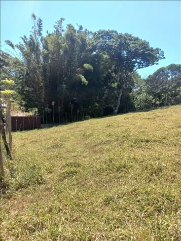 BELLA PROPIEDAD EN SABANA LARGA DE ATENAS. en Atenas, Alajuela — ₡ 135 000 000
