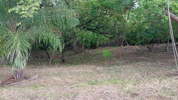 Venta Lote en Guanacaste