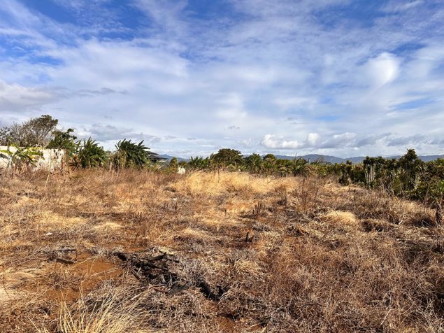 LOTE  SAN PABLO DE HEREDIA. LAS CRUCES en San Pablo, Heredia — ₡ 190 000 000 - Foto 3 de 4