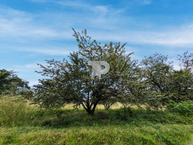 LOTE EN VENTA EN COYOLAR-OROTINA ALAJUELA A METROS DE LA 27 SCG34 in Coyolar, Orotina, Alajuela — ₡ 39 000 000