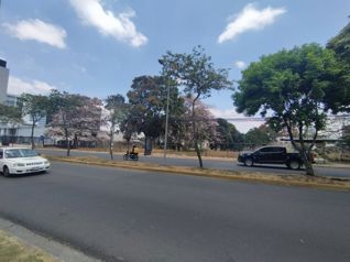 VENTA ( Se Vende) EL MEJOR TERRENO DE SABANA, COD. RAA 1341 en San Marcos, Tarrazú, San José — $21,000,000 - Foto 4 de 19