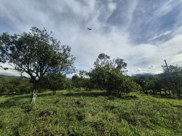 9+ hectares en Miraflores con rio y plano, Perez Zeledon en El General, Pérez Zeledón, San José — $599,999