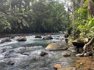 Río Celeste, Guatuso, Provincia de Alajuela, 21502, CRI en Buenavista, Guatuso, Alajuela — 264 000 000 ₡ - Foto 4 de 14