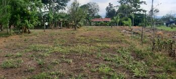 🌿 ¡Lote en San Isidro de Peñas Blancas, San Ramón! en Peñas Blancas, San Ramón, Alajuela — $26,000 - Foto 4 de 8