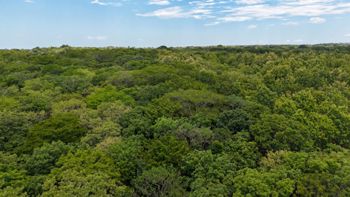 9,3 HECTÁREAS - PENÍNSULA DE PAPAGAYO - AGUA LISTA - ÁRBOLES RAROS en Nacascolo, Liberia, Guanacaste — $1,000,000 - Foto 4 de 16
