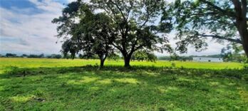 Se vende amplio lote de 7.5 hectáreas en Miramar Puntarenas 23-3495 in Miramar, Montes De Oro, Puntarenas — $3,784,100 - Photo 5 of 6