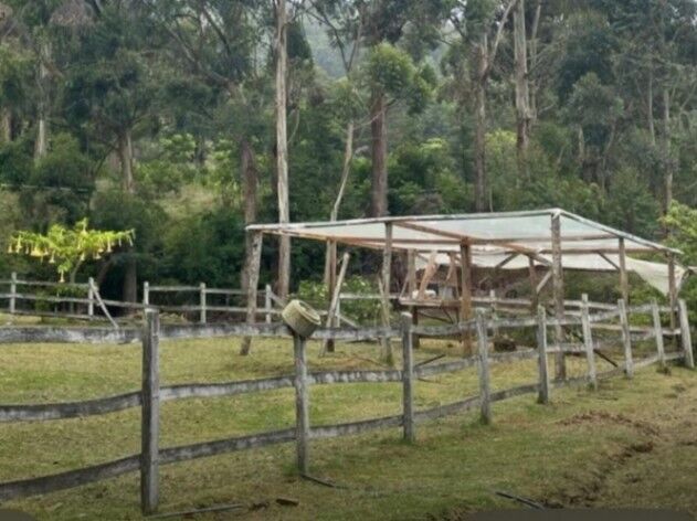 MLS-25-1866 KQ VENTA FINCA DOTA SAN JOSE en Copey, Dota, San José — ₡ 160 000 000