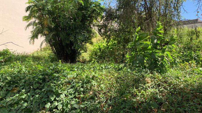VENTA TERRENO RESIDENCIAL, SAN JOSE, CURRIDABAT, PINARES in Curridabat, San José — $428,995 - Photo 3 of 8