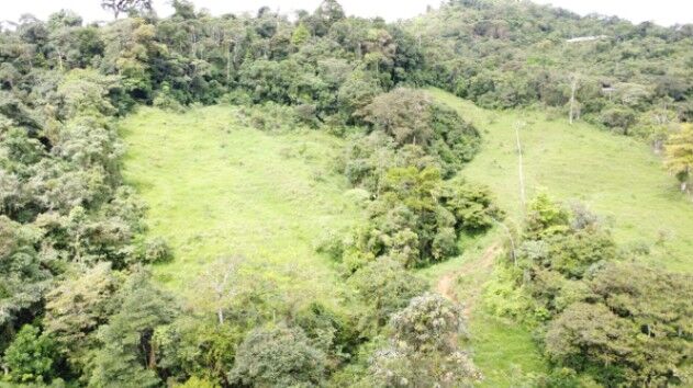 19+ Acres en Perez Zeledon en Platanares, Pérez Zeledón, San José — $180,000