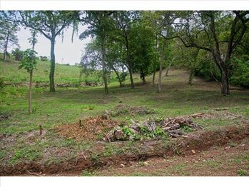 VENTA DE QUINTA, PUNTARENAS, GARABITO, TÁRCOLES en Tárcoles, Garabito, Puntarenas — $150,000 - Foto 4 de 29