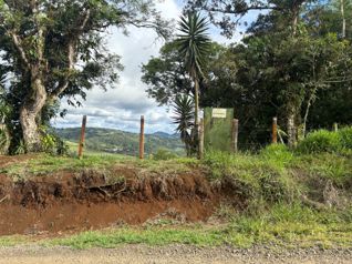 Lot ready to build on for sale in Ángeles, San Ramón, Alajuela — 48 790 000 ₡ - Photo 4 of 5