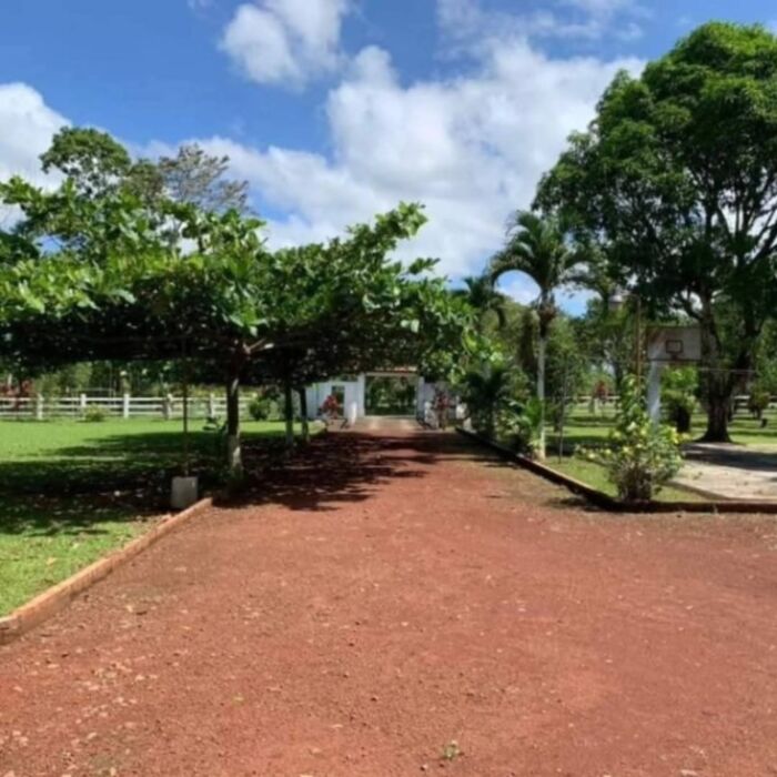 ESPECTACULAR PROPIEDAD Y CASA EN FLORENCIA DE SAN CARLOS.  en Florencia, San Carlos, Alajuela — $250,000