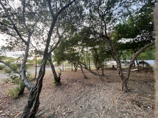 Prime Ocean Front Jaco Beach en Jacó, Garabito, Puntarenas — $4,785,000 - Foto 4 de 28